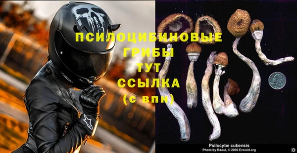 дживик Армянск